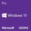 [마이크로소프트] [FQC-09478] Windows 10 Pro GGWA [기업용/라이선스/5개이상 구매가능]